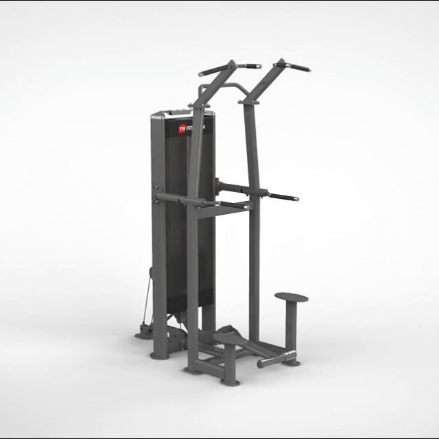 Standing Assisted Chin/Dip