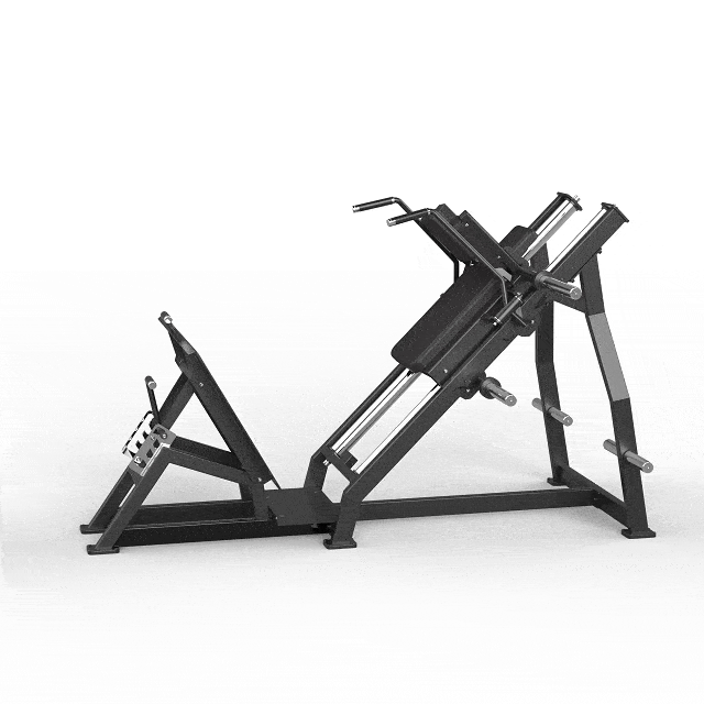 45 Degree Hack Squat