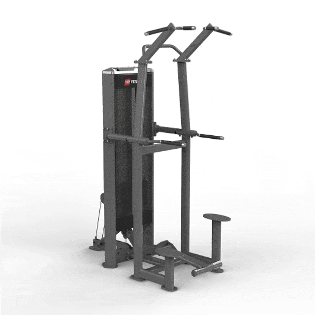 Standing Assisted Chin/Dip