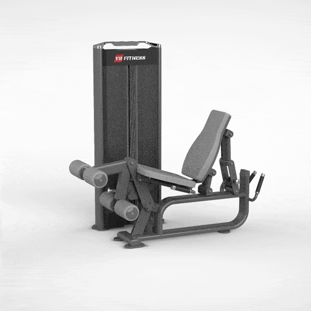 Leg Extension/Lying Leg Curl