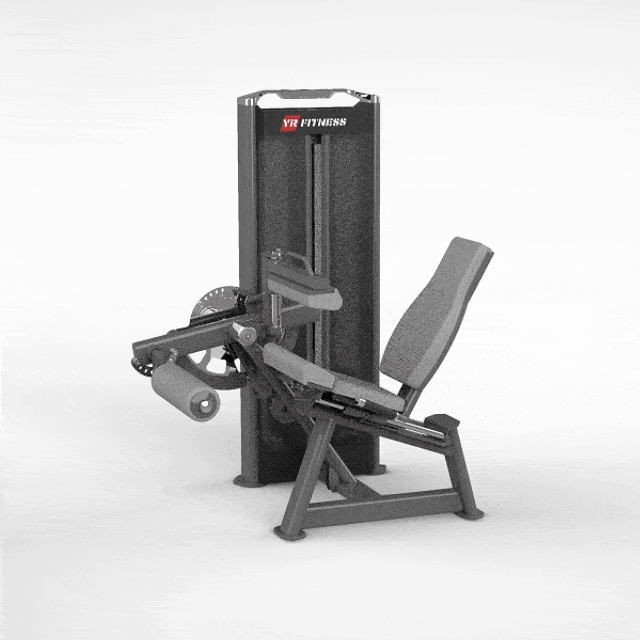 Leg Extension/Leg Curl