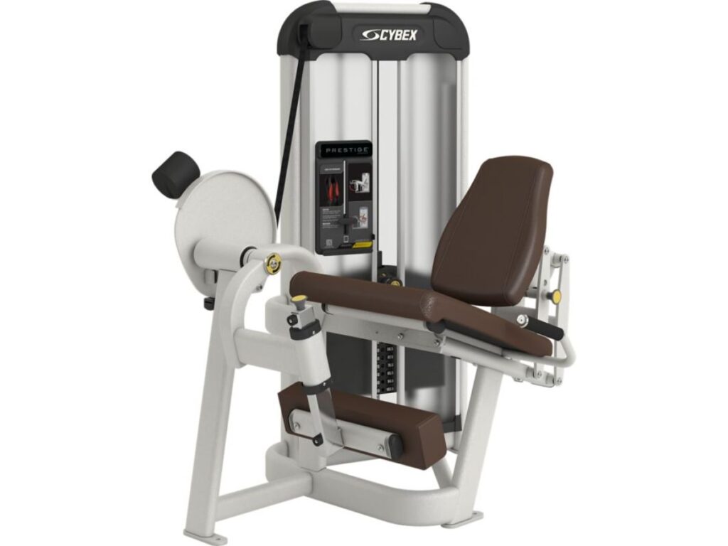 10 Best Leg Extension Machines 2 10 Best Leg Extension Machines 2