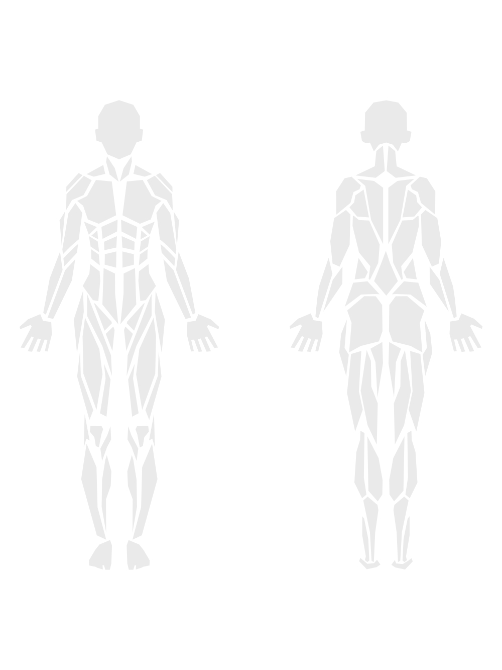By Muscle Groups 1