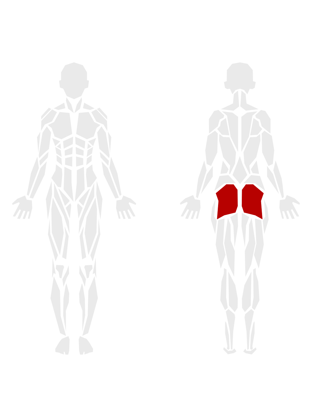 By Muscle Groups 2