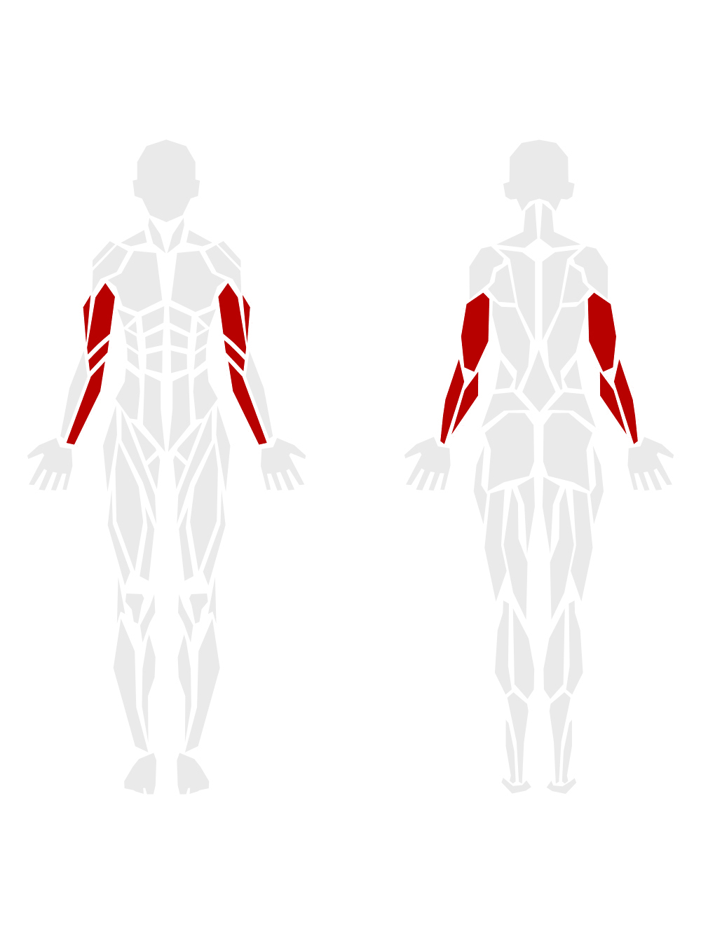 By Muscle Groups 3