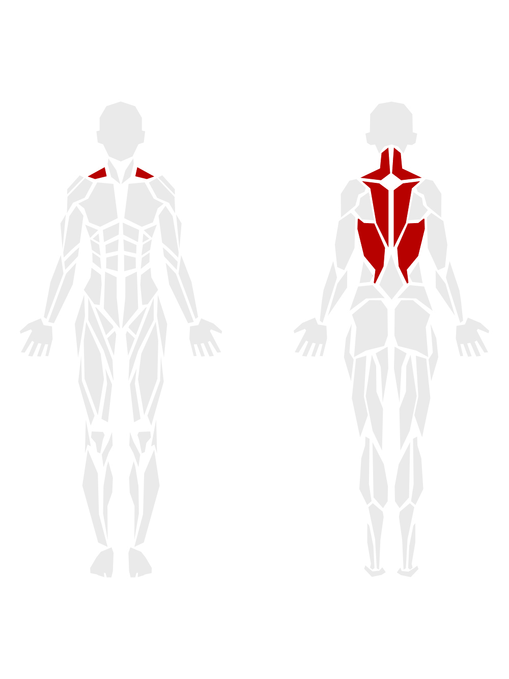 By Muscle Groups 4