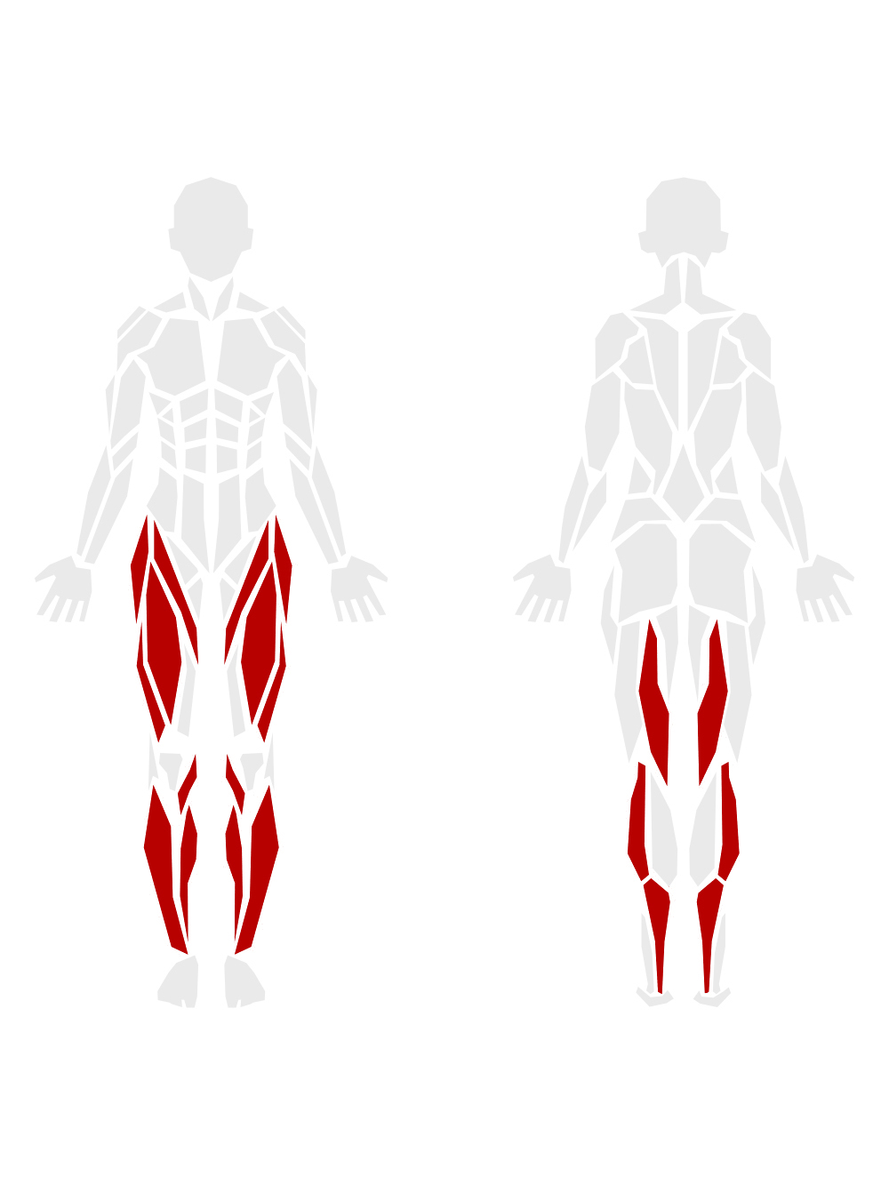 By Muscle Groups 7