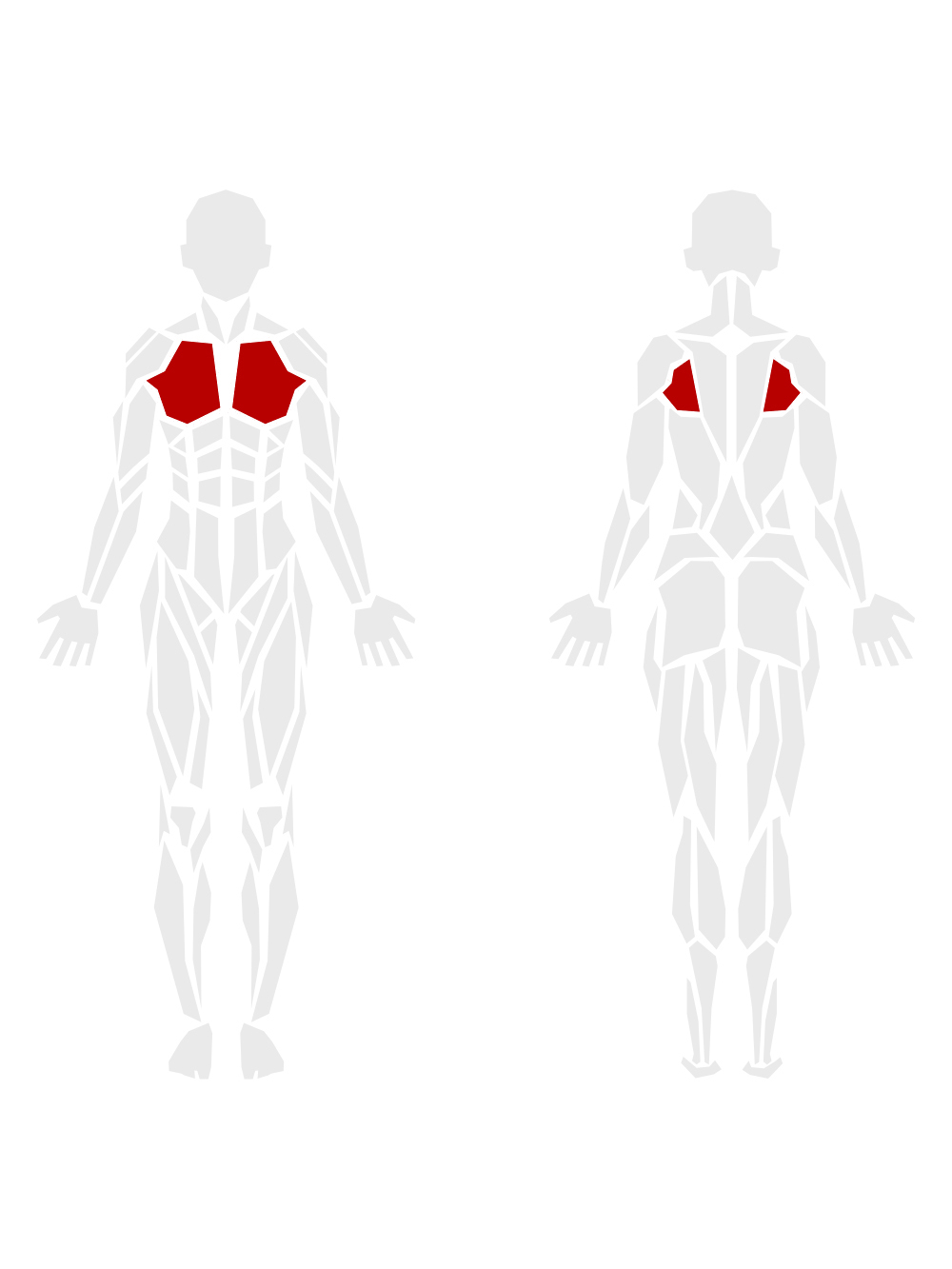 By Muscle Groups 8
