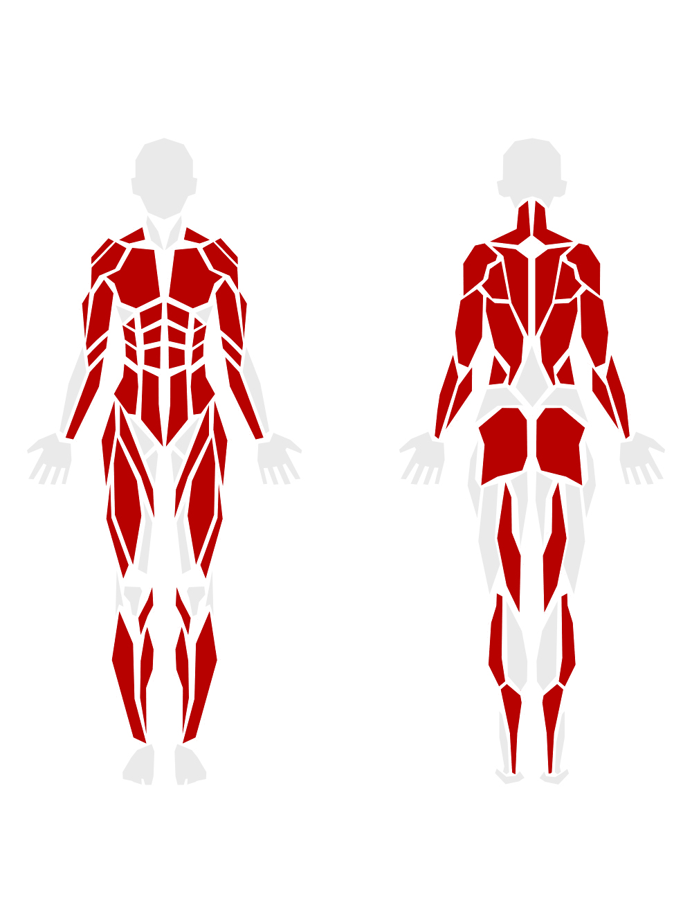 By Muscle Groups 9