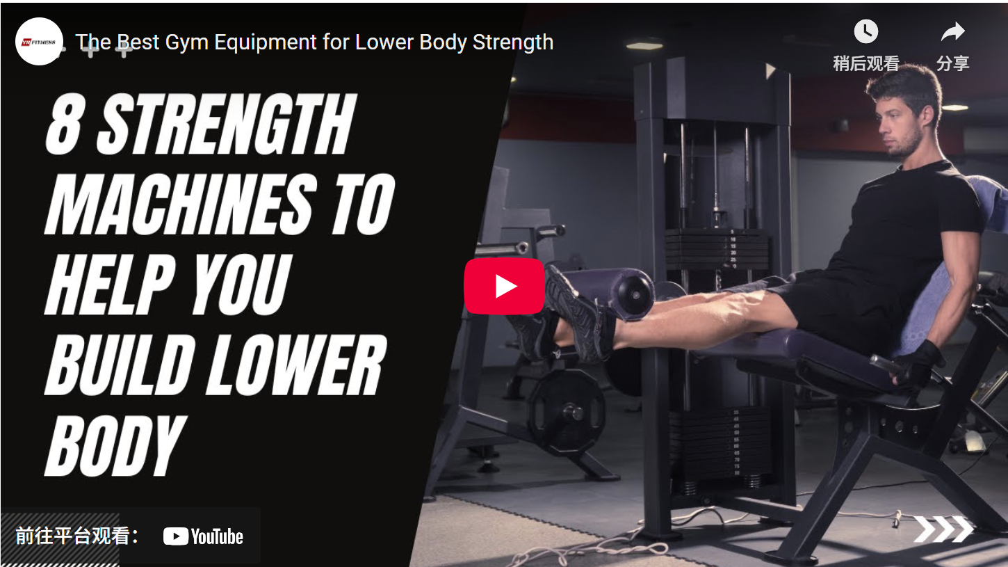 The Best Gym Equipment For Lower Body Strength 1