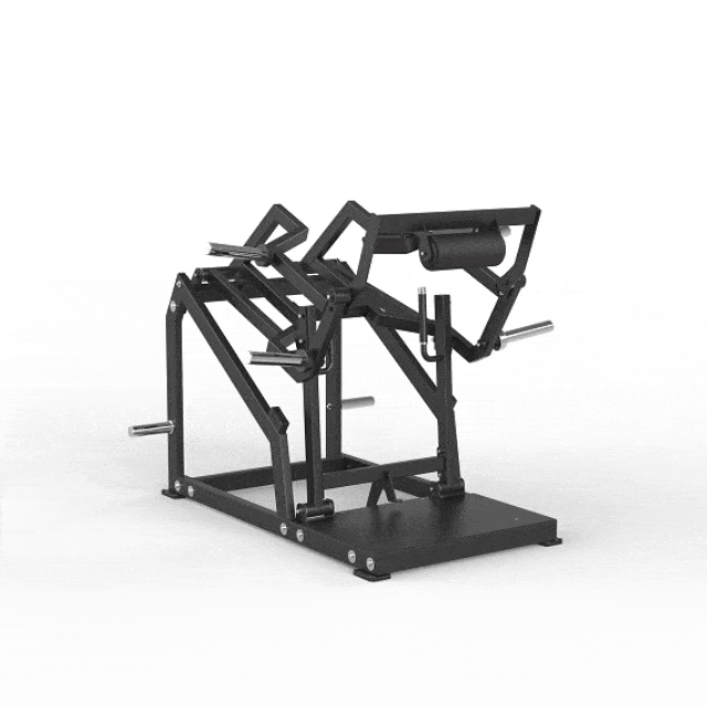 Standing Squat Trainer