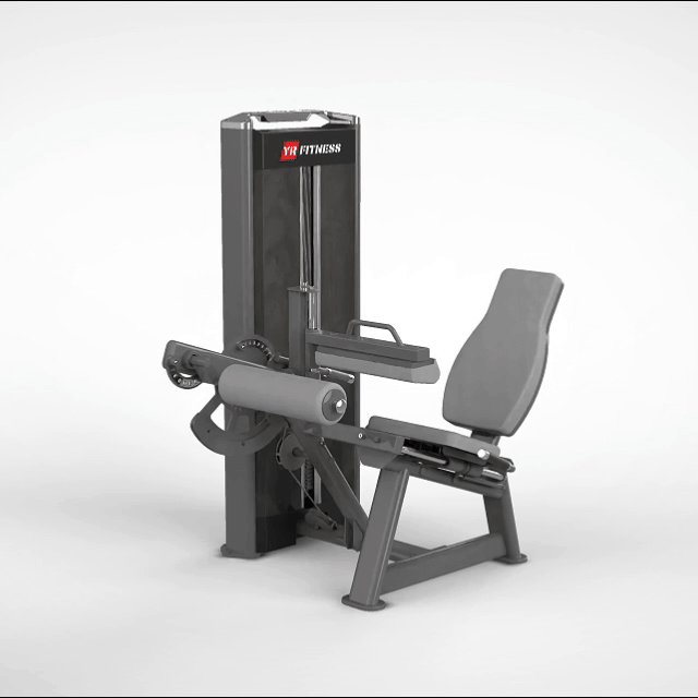 Seated Leg Curl