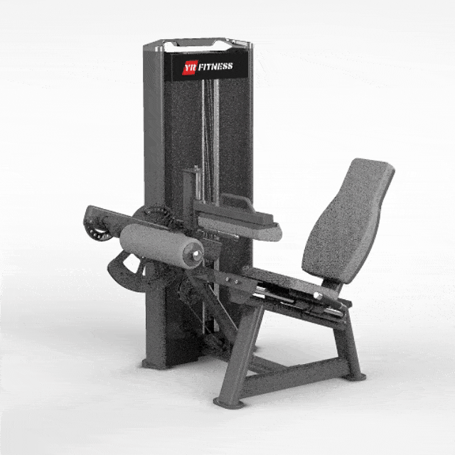 Seated Leg Curl