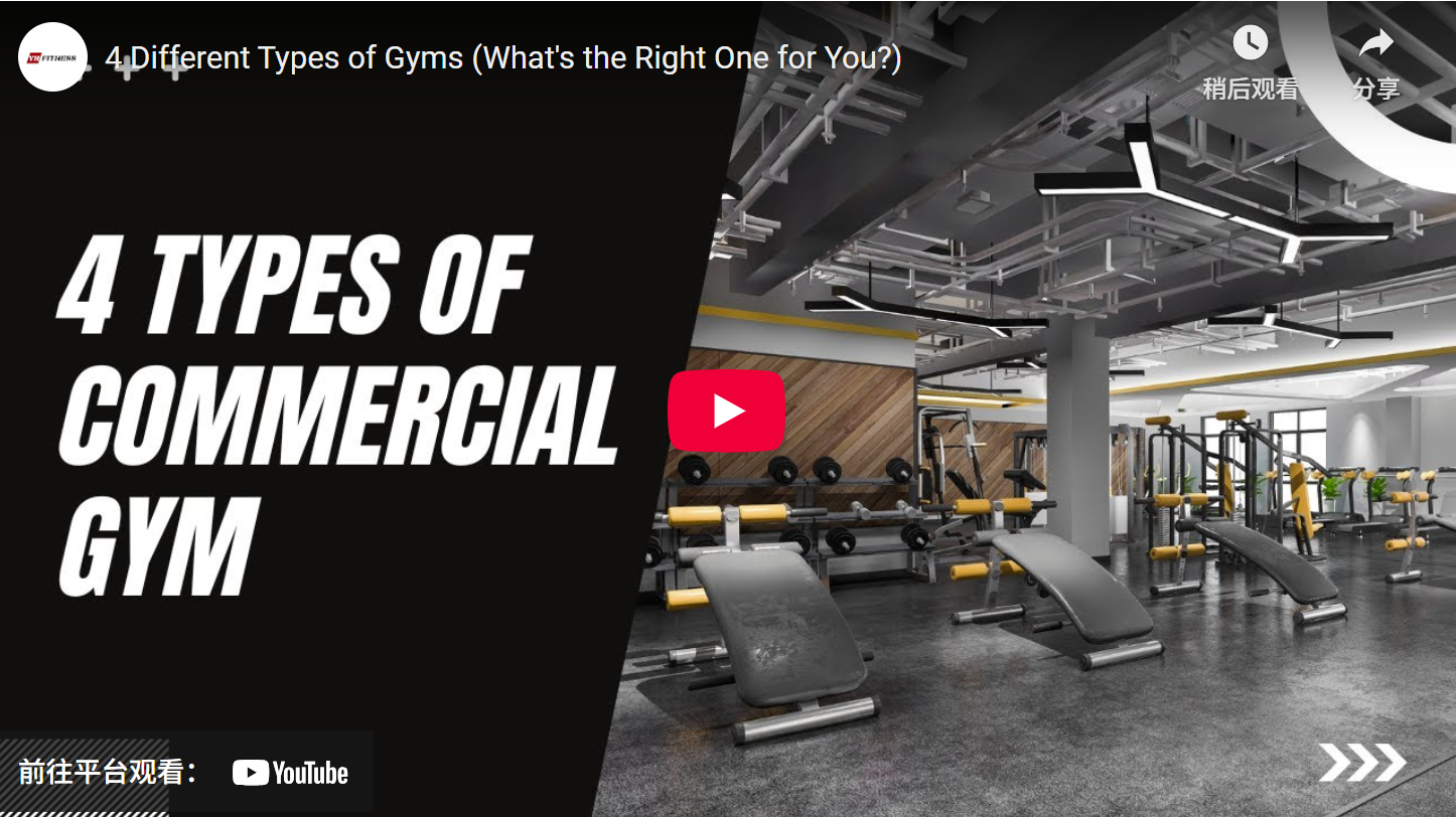 Different Types Of Gyms —What'S The Right One For You? 1